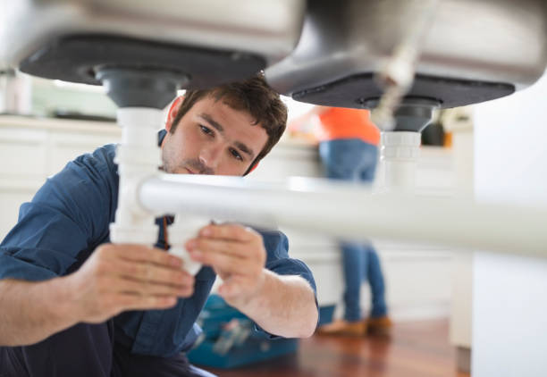 Best Local Plumber Services  in Lake City, FL